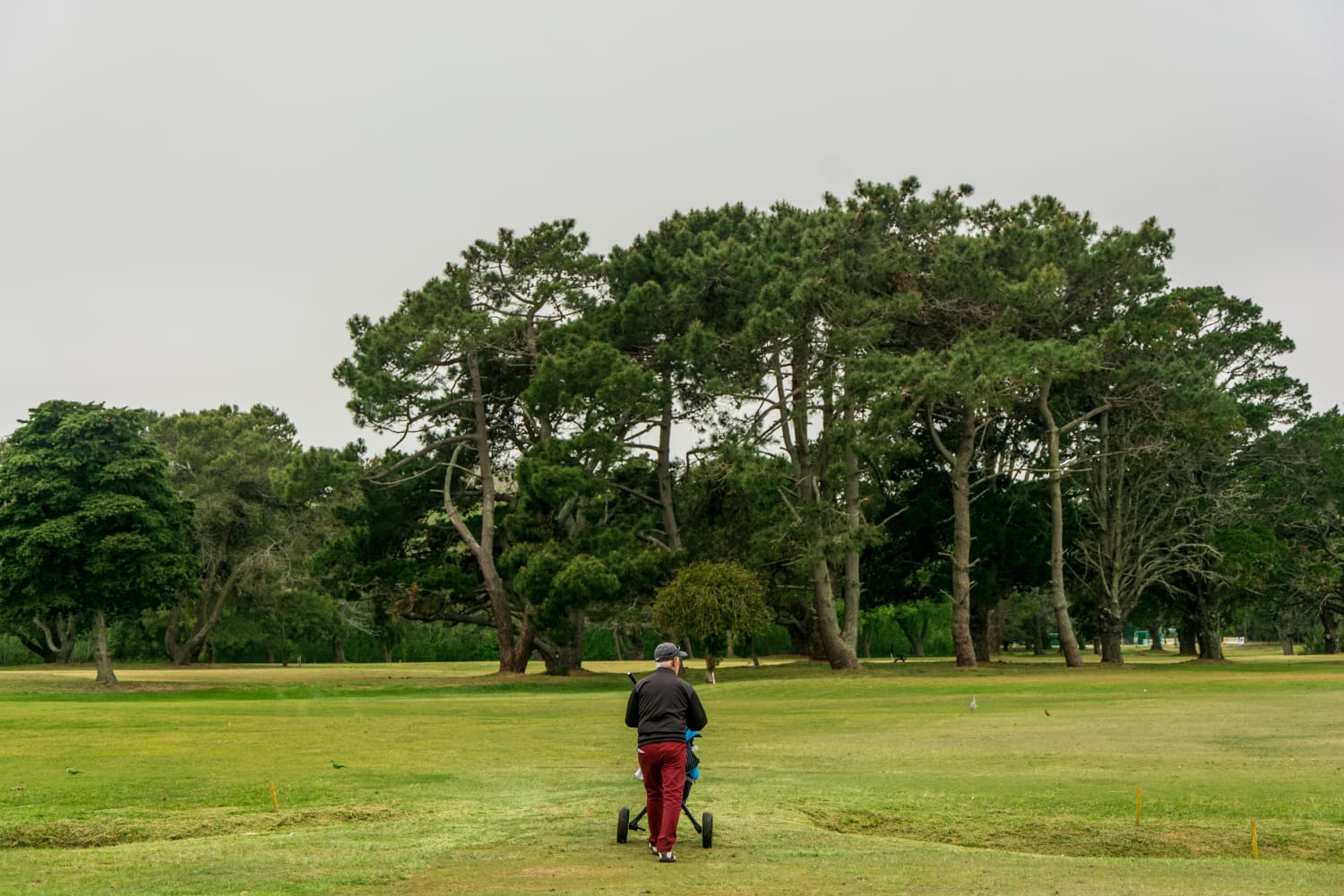 Golf Club Santa Teresita